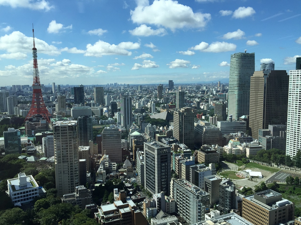 津市最新新闻及深度解析报告